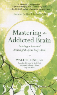 Mastering the Addicted Brain : Building a Sane and Meaningful Life to Stay Clean